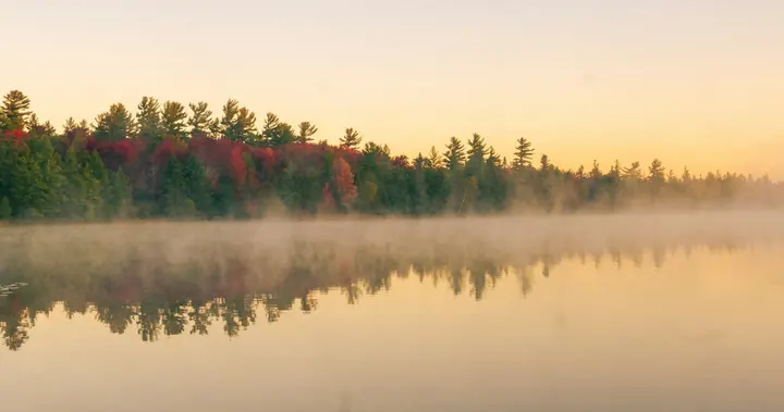 Quiet, misty Duck Lake shoreline in Northern Michigan